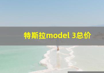 特斯拉model 3总价